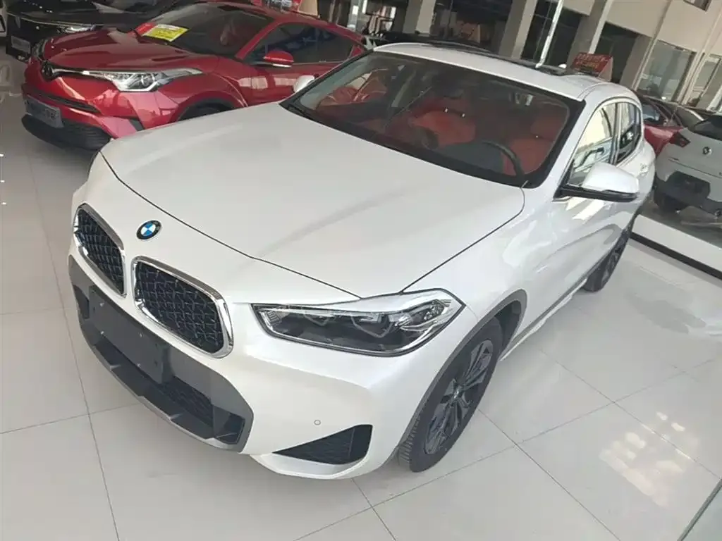 BMW X2 2023 из CN, фото 6