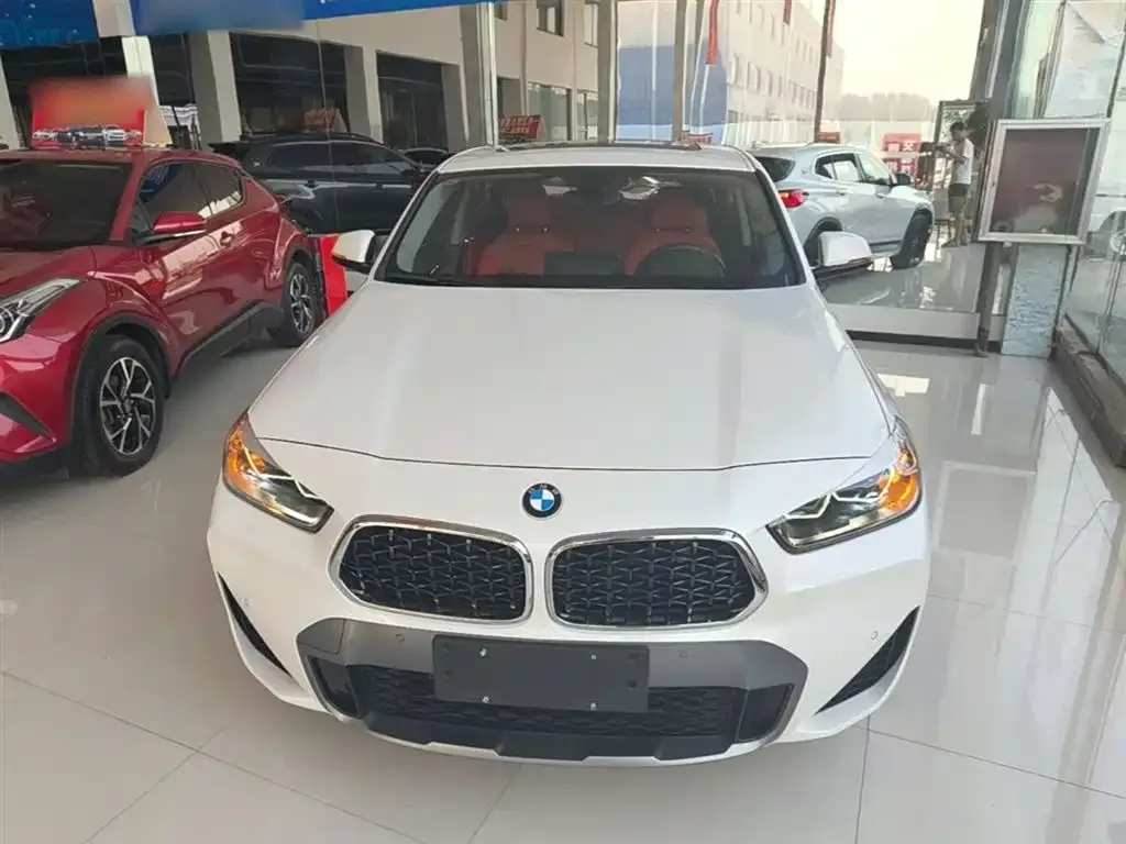 BMW X2 2023 из CN, фото 10