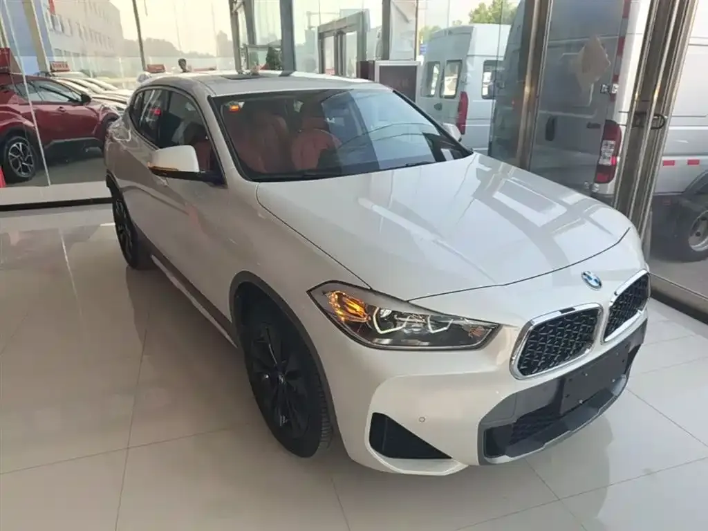 BMW X2 2023 из CN, фото 9