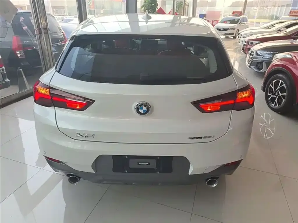 BMW X2 2023 из CN, фото 7
