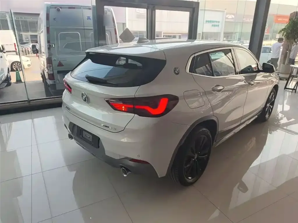 BMW X2 2023 из CN, фото 5