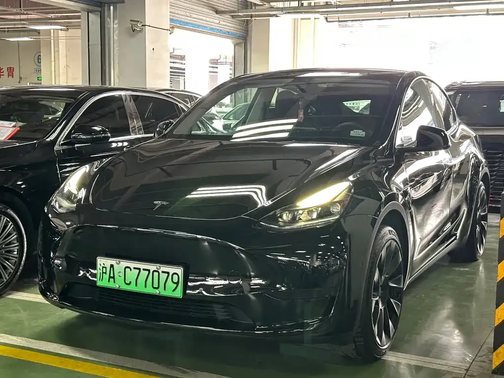 Tesla Model Y — фото 1