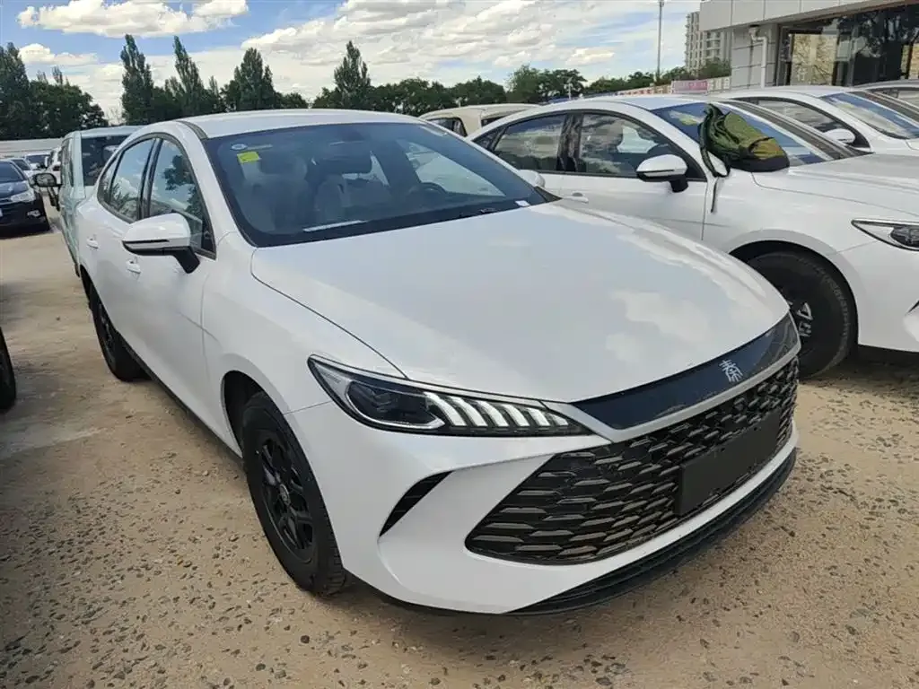 BYD Qin PLUS — фото 10