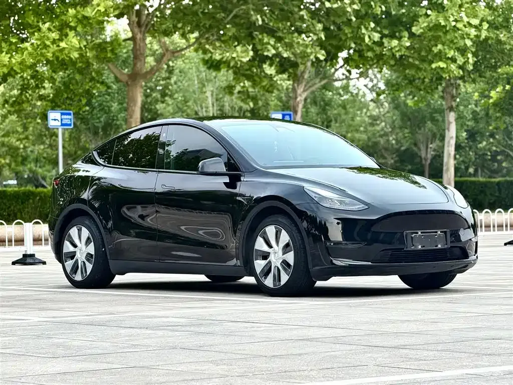 Tesla Model Y — фото 8