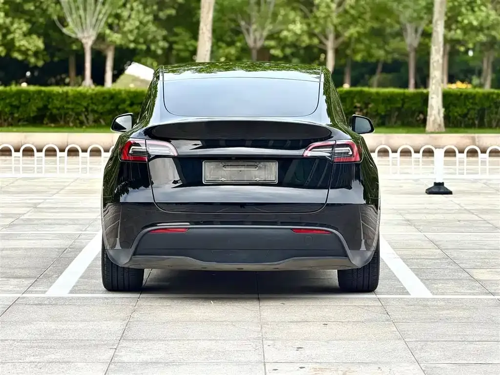 Tesla Model Y — фото 6