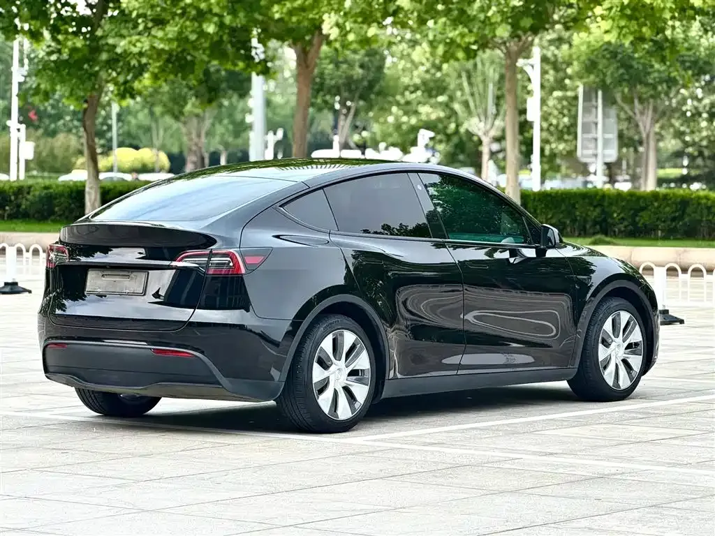 Tesla Model Y — фото 10