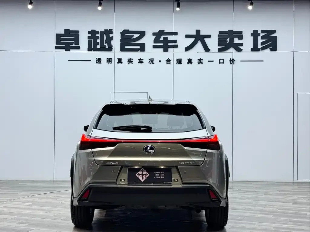 Lexus UX 2021 из CN, фото 2