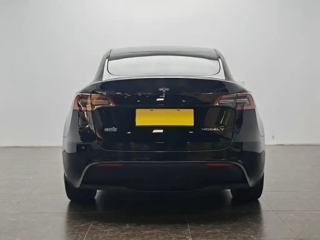 Tesla Model Y — фото 5