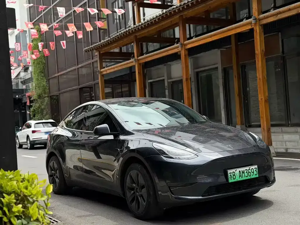 Tesla Model Y — фото 8