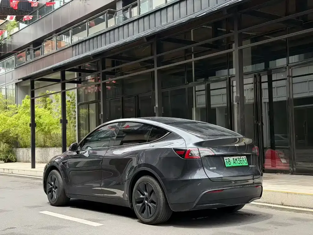 Tesla Model Y — фото 9