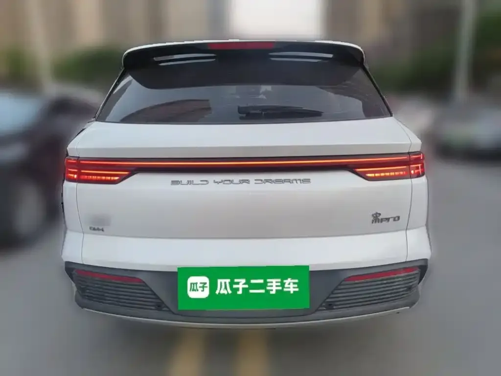 BYD Pro New Energy — фото 5