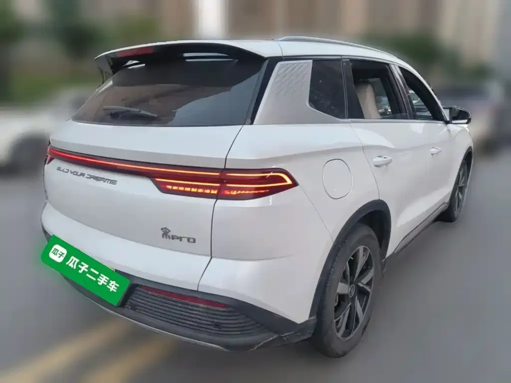 BYD Pro New Energy — фото 10