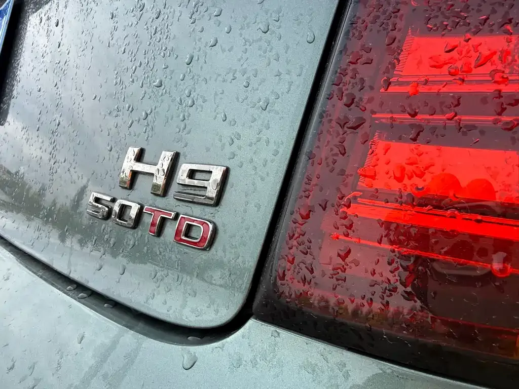 Hongqi H9 — фото 9