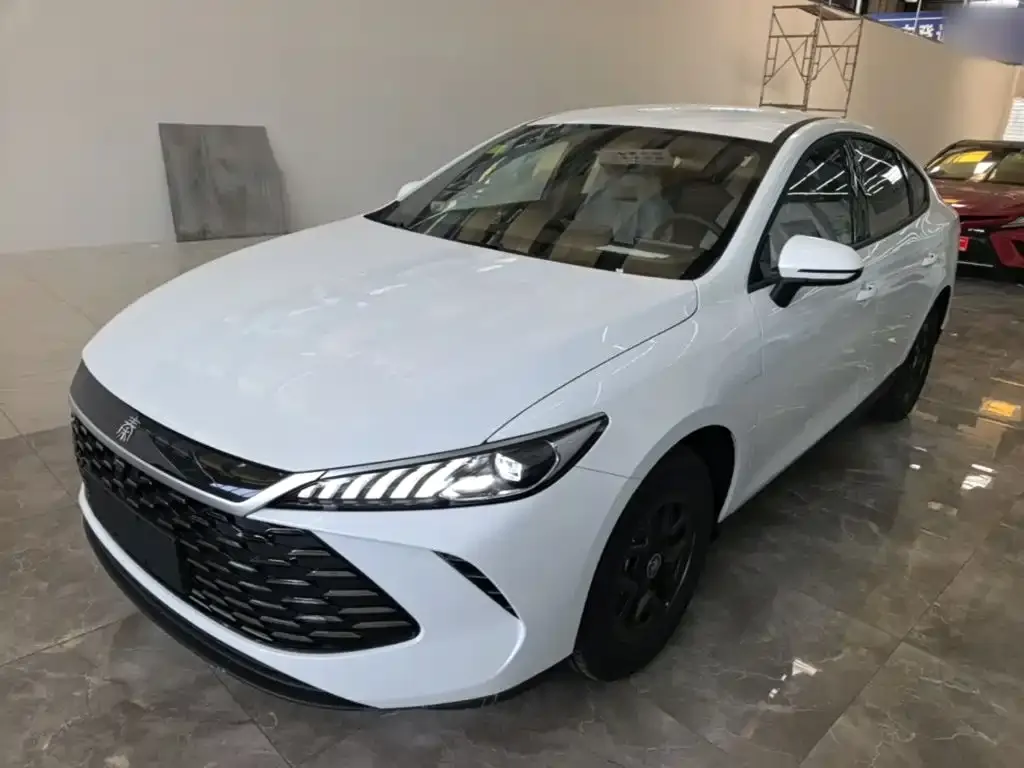 BYD Qin PLUS — фото 6
