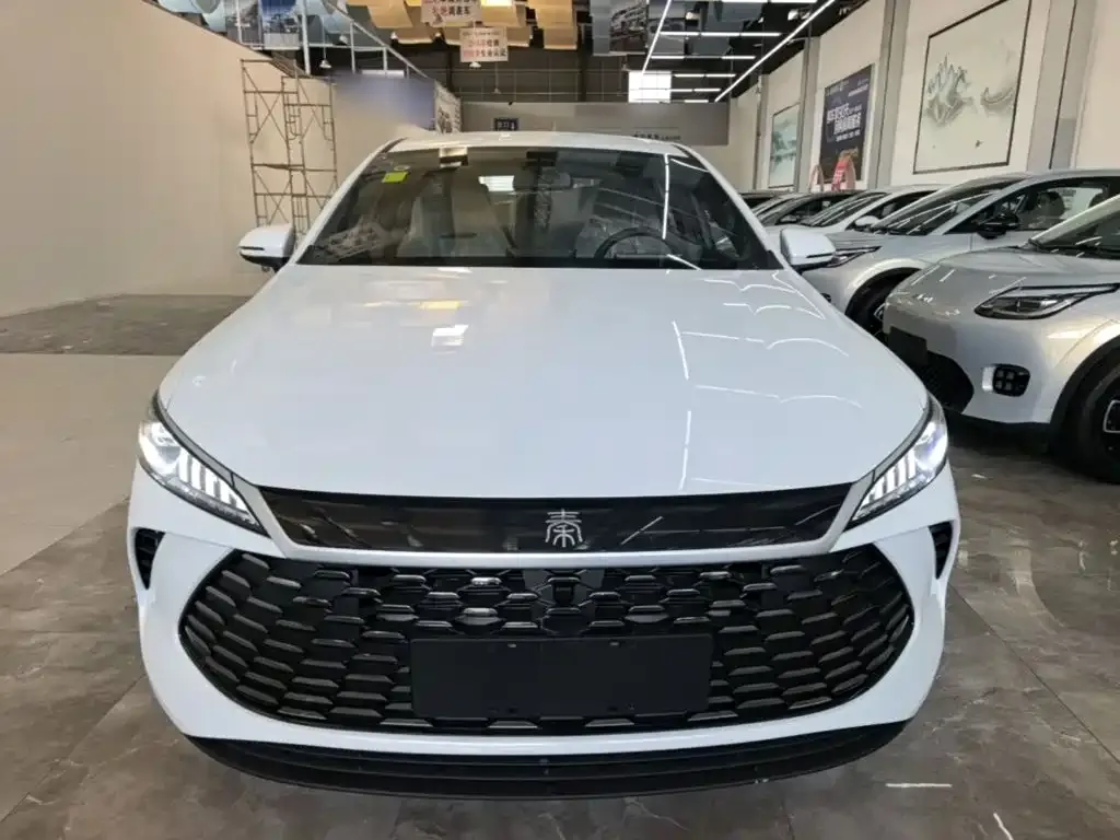 BYD Qin PLUS — фото 3