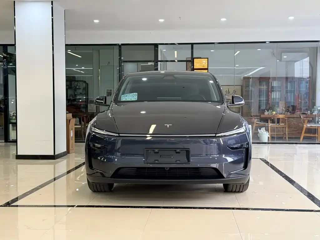 Tesla Model Y — фото 9
