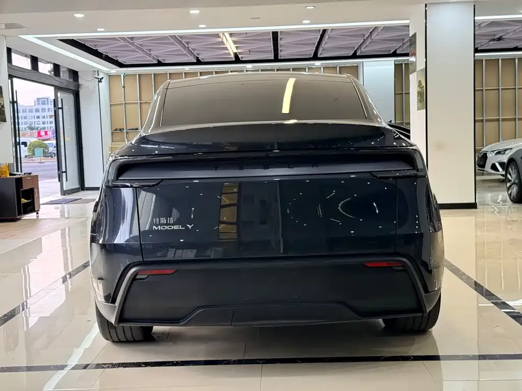 Tesla Model Y — фото 7