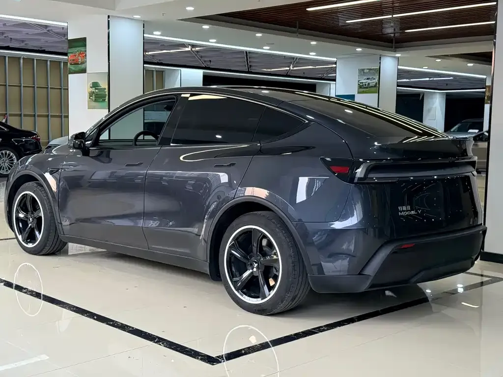 Tesla Model Y — фото 6