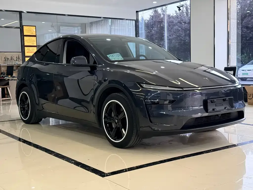 Tesla Model Y — фото 8