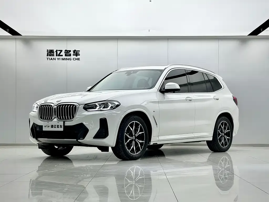 BMW X3 — фото 1