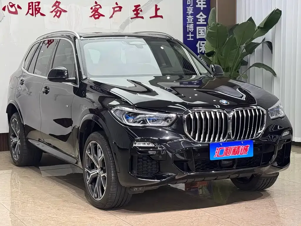 BMW X5 (Import) 2021 из CN, фото 8