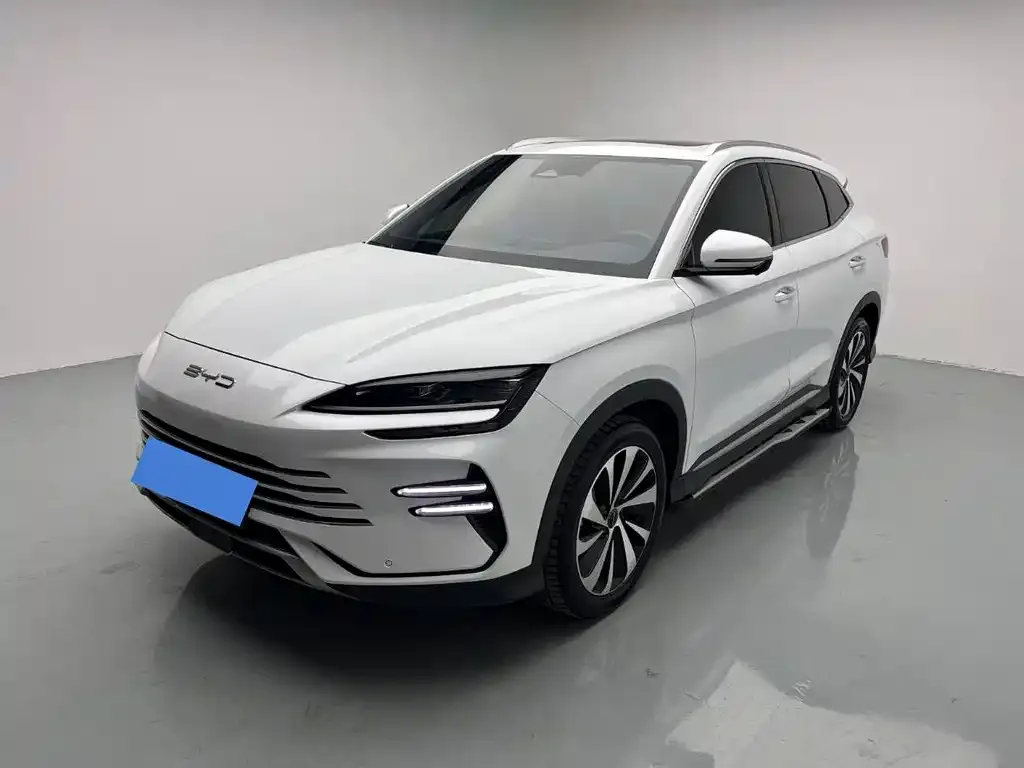 BYD PLUS New Energy — фото 1