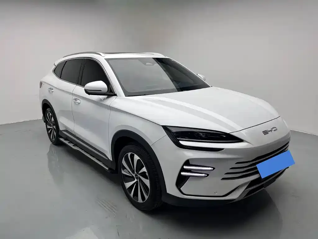 BYD PLUS New Energy — фото 3