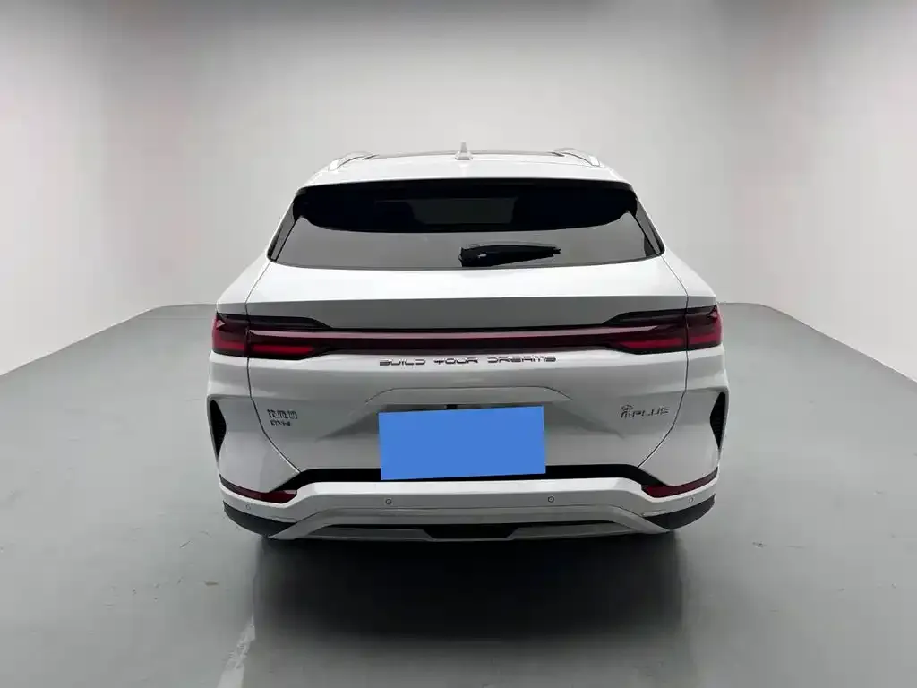 BYD PLUS New Energy — фото 4