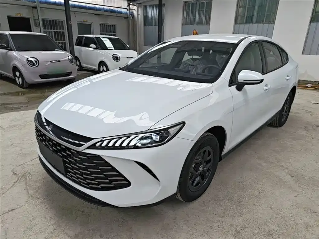 BYD Qin PLUS — фото 7