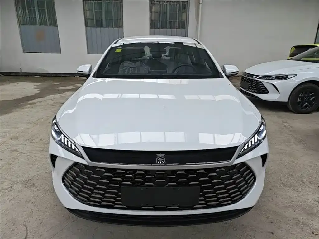 BYD Qin PLUS — фото 3