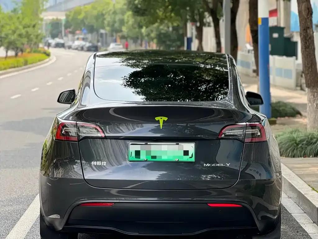 Tesla Model Y — фото 9