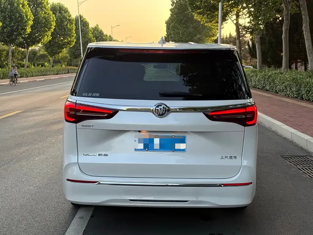 Buick GL8 2021 из CN, фото 3