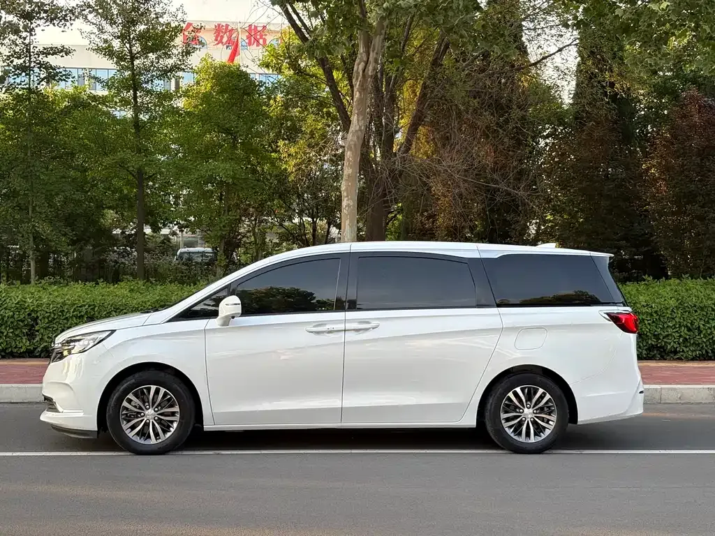 Buick GL8 2021 из CN, фото 4