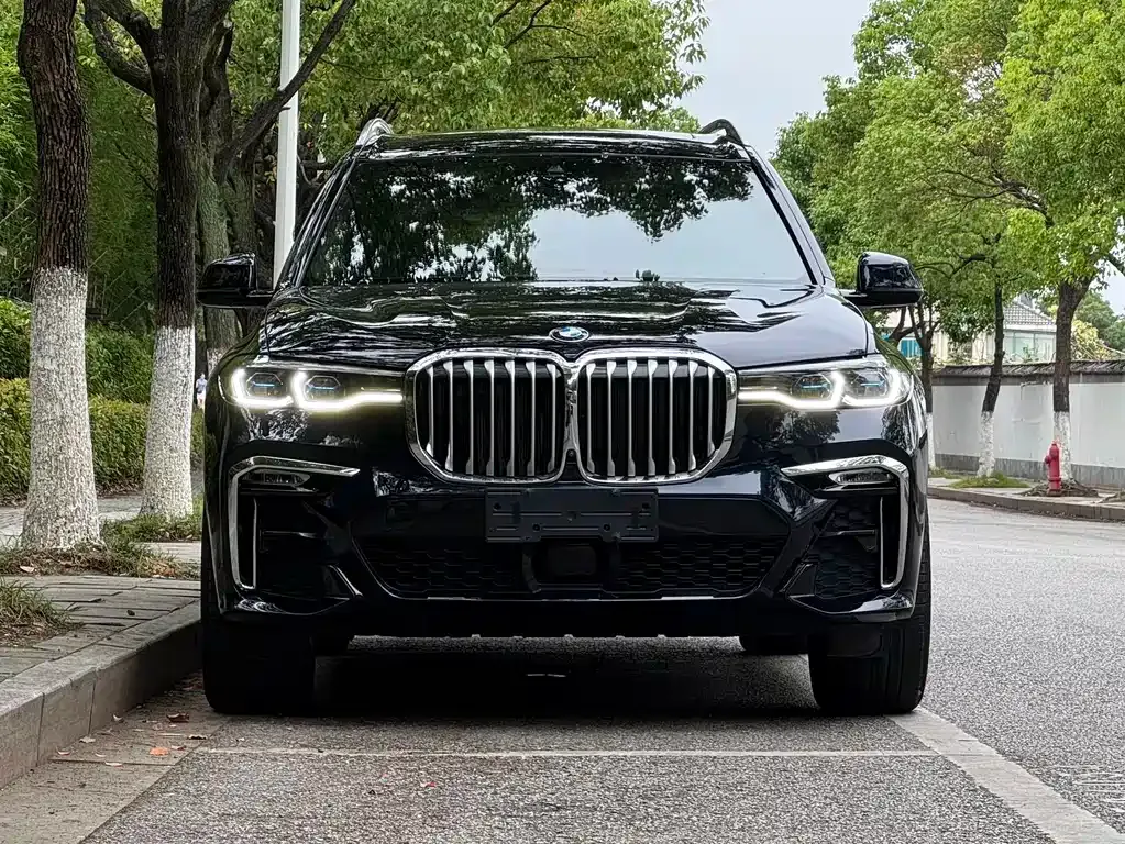 BMW X7 2022 из CN, фото 10