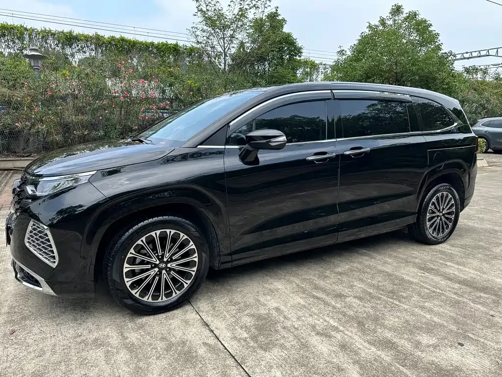 Hyundai Custo — фото 6