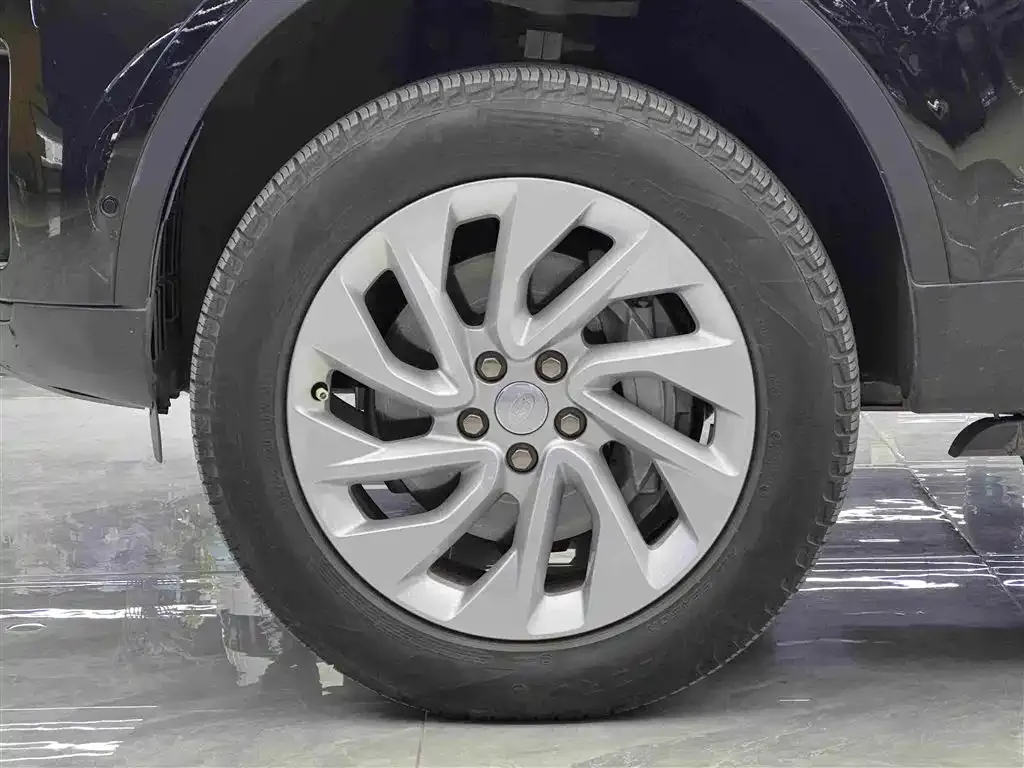 Land Rover Discovery 2022 из CN, фото 4