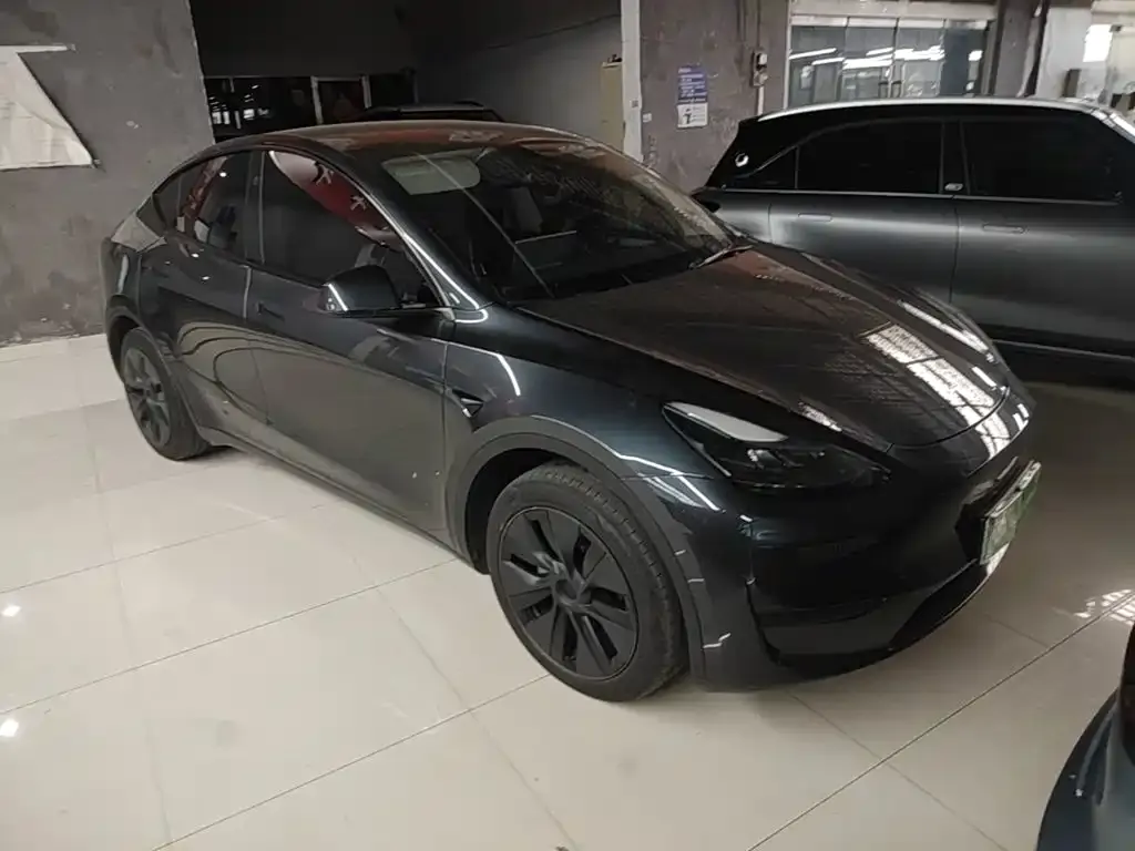 Tesla Model Y — фото 8
