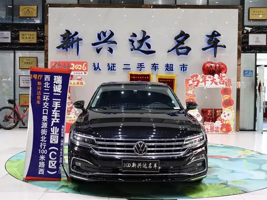 Volkswagen Phideon — фото 10