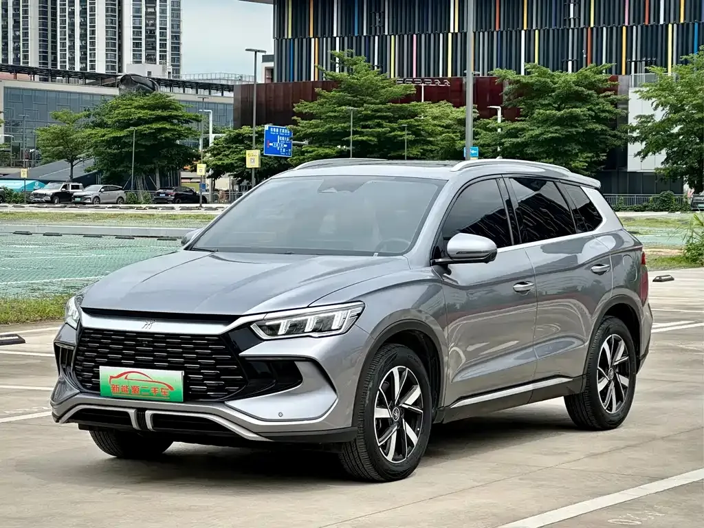 BYD Pro New Energy