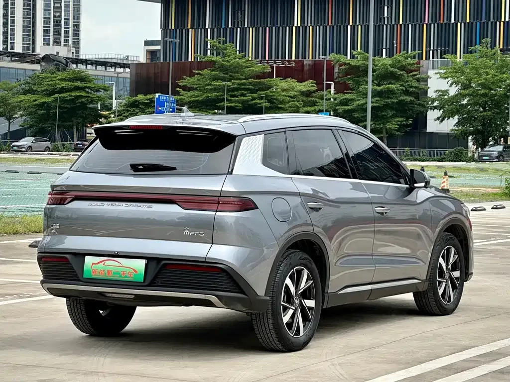 BYD Pro New Energy 2023 из CN, фото 3