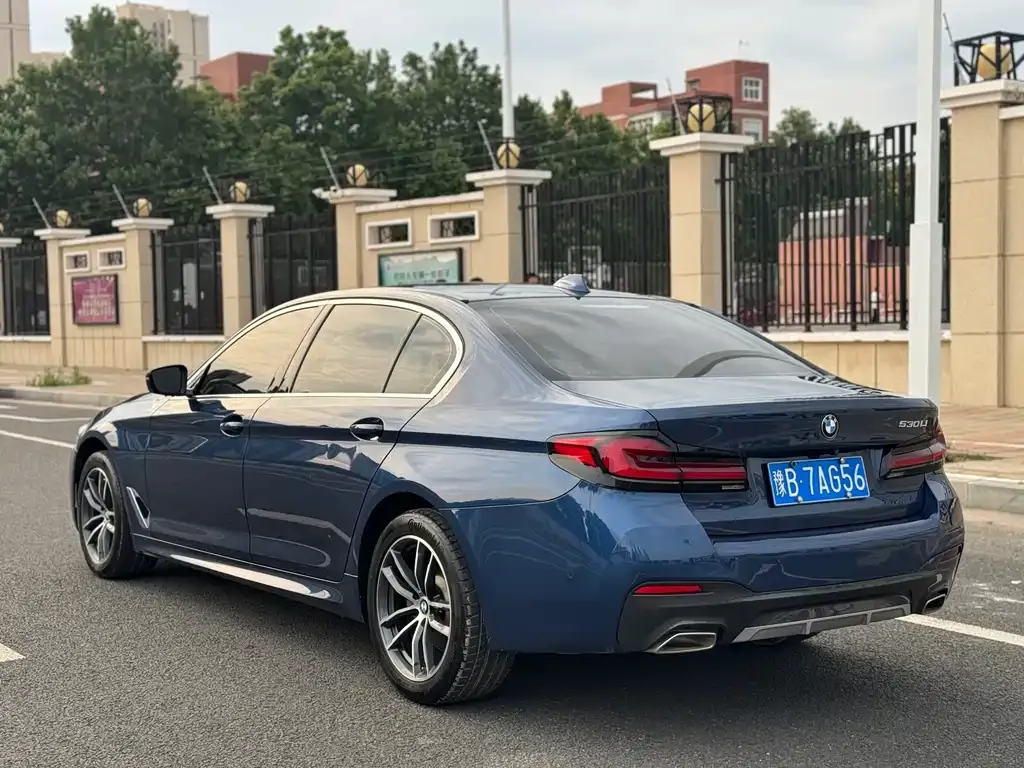 BMW 5 Series 2021 из CN, фото 9