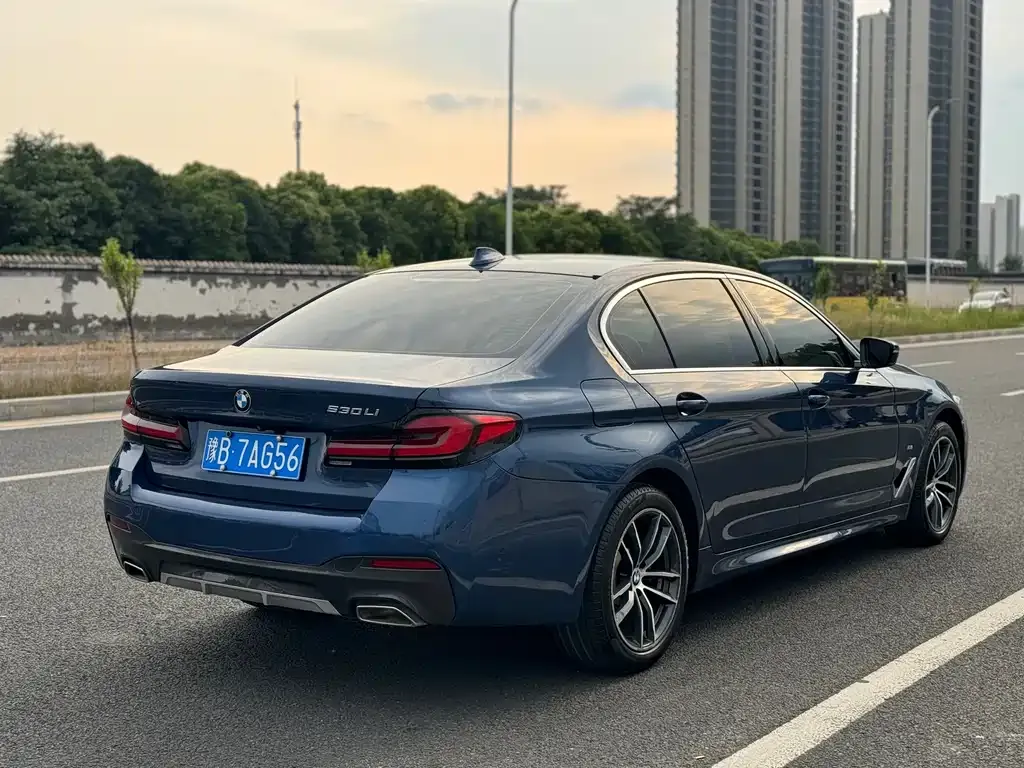 BMW 5 Series 2021 из CN, фото 6