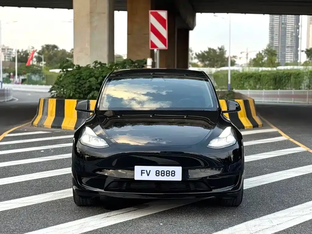 Tesla Model Y — фото 1