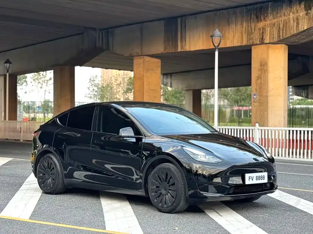 Tesla Model Y — фото 8
