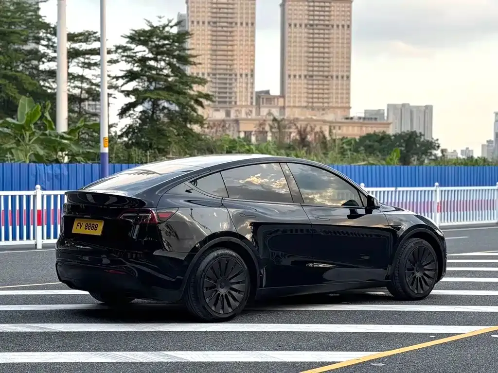 Tesla Model Y — фото 9