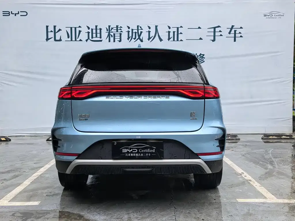 BYD Tang New Energy — фото 3