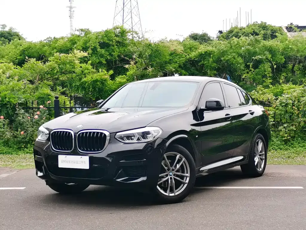 BMW X4 2021 из CN, фото 8