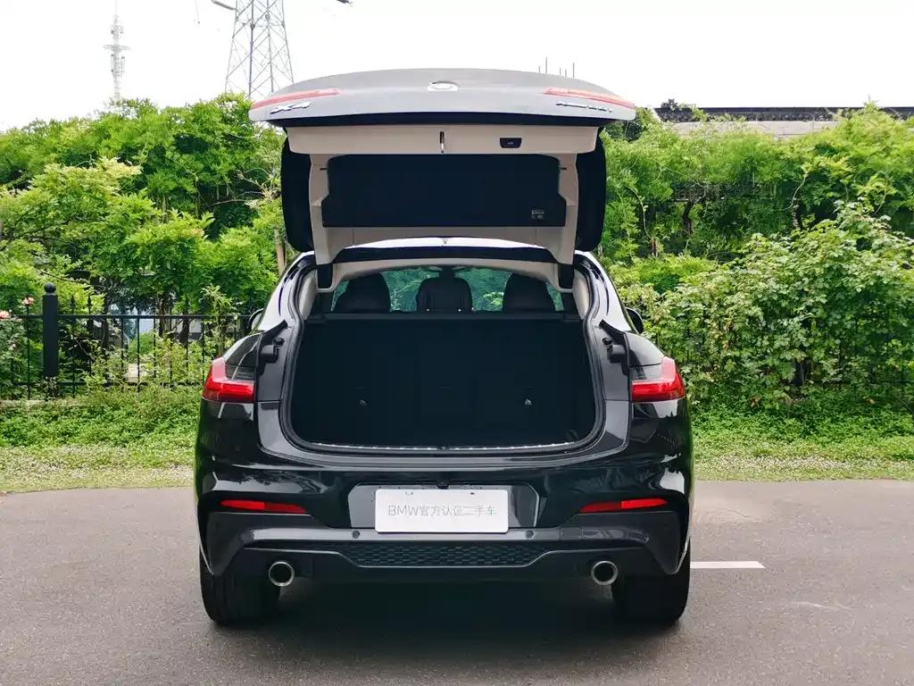BMW X4 2021 из CN, фото 5
