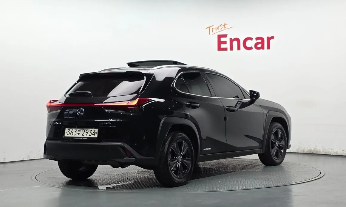 Lexus UX 2021 из KR, фото 6
