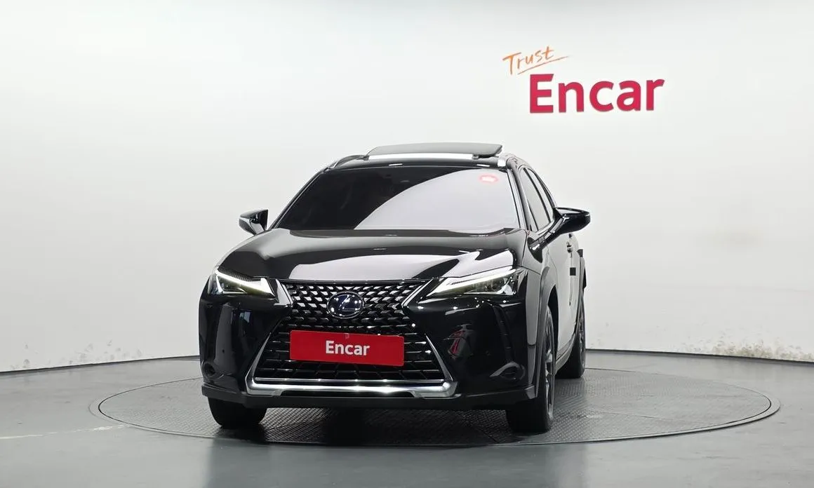 Lexus UX 2021 из KR, фото 4